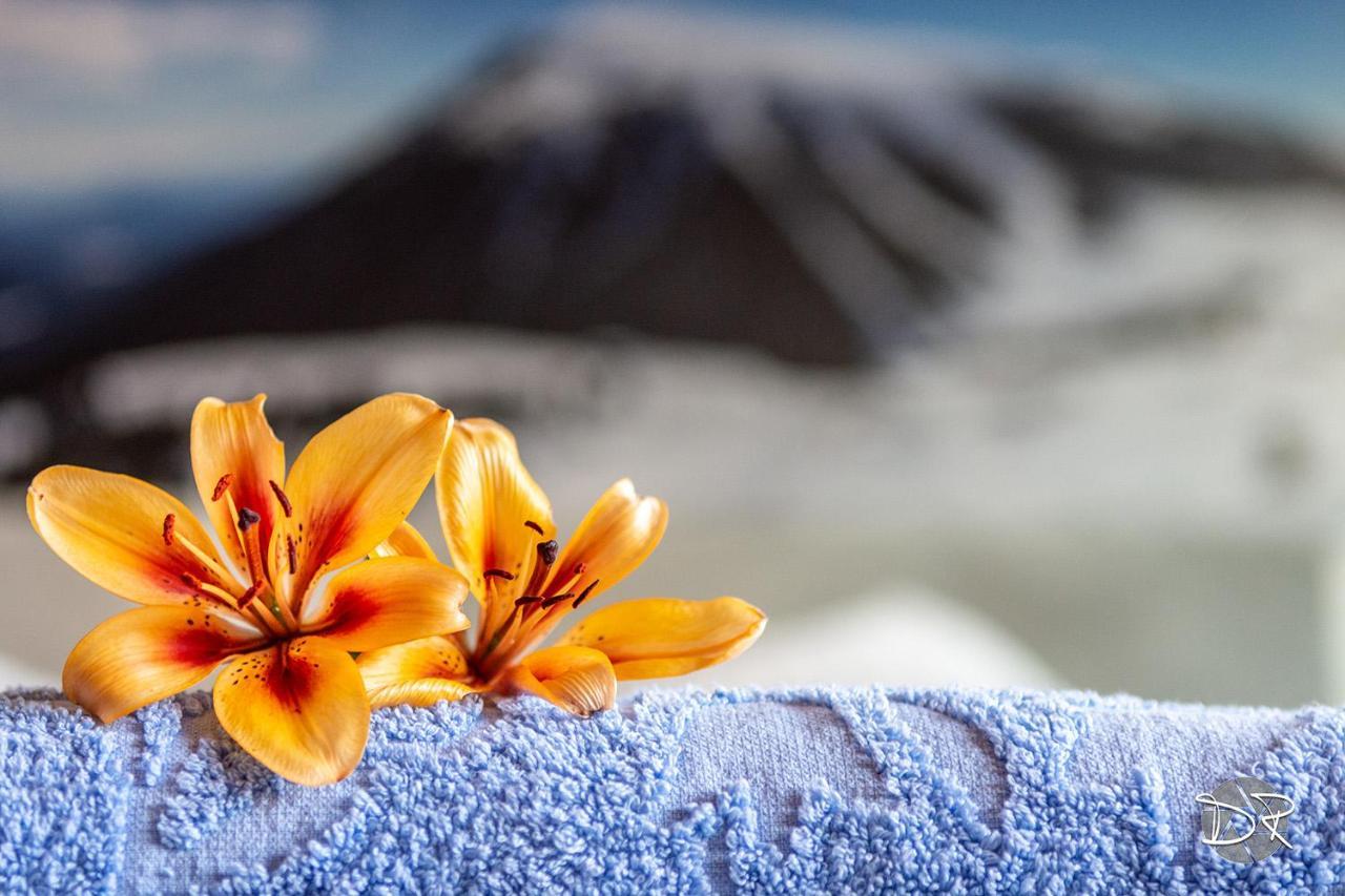 Casa De Fiemme Bed & Breakfast Tesero Dış mekan fotoğraf
