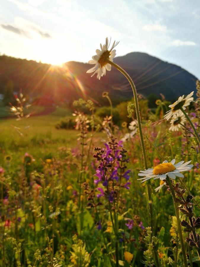 Casa De Fiemme Bed & Breakfast Tesero Dış mekan fotoğraf