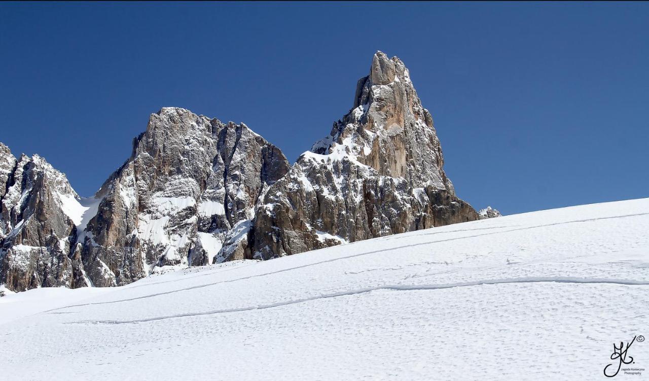 Casa De Fiemme Bed & Breakfast Tesero Dış mekan fotoğraf
