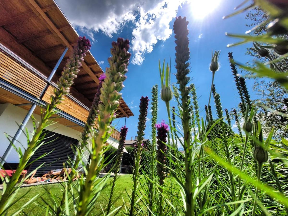 Casa De Fiemme Bed & Breakfast Tesero Dış mekan fotoğraf